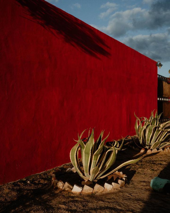 Cabana R Y A Valle De Guadalupe Dış mekan fotoğraf