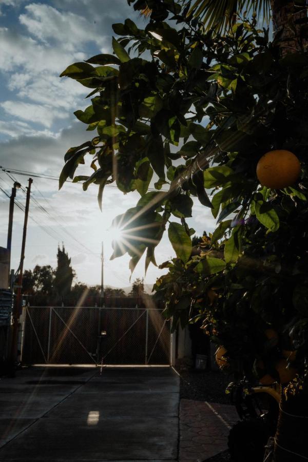 Cabana R Y A Valle De Guadalupe Dış mekan fotoğraf